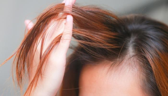 شامبو الشعر الجاف