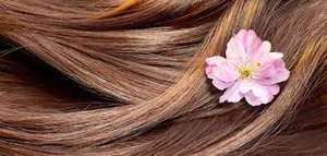 طرق العناية بالشعر